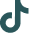 Tiktok Icon